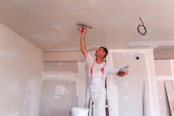 Holly Lake Ranch, TX Dry wall and painting Company